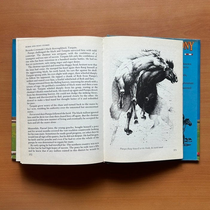Horse & Pony Stories - Jane Carruth image 11
