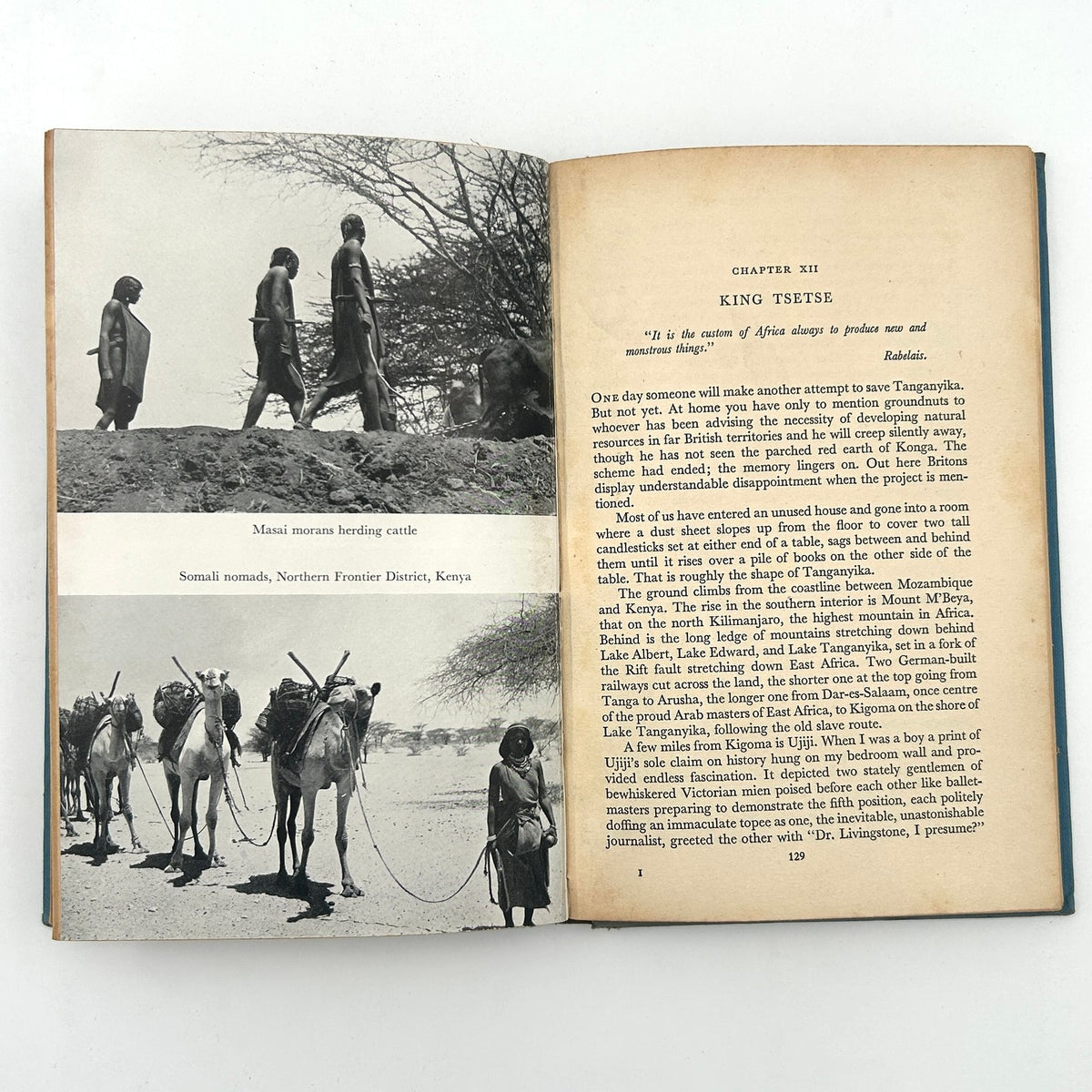 AFRICA ON A TIGHTROPE BY HENRY GIBBS image 9