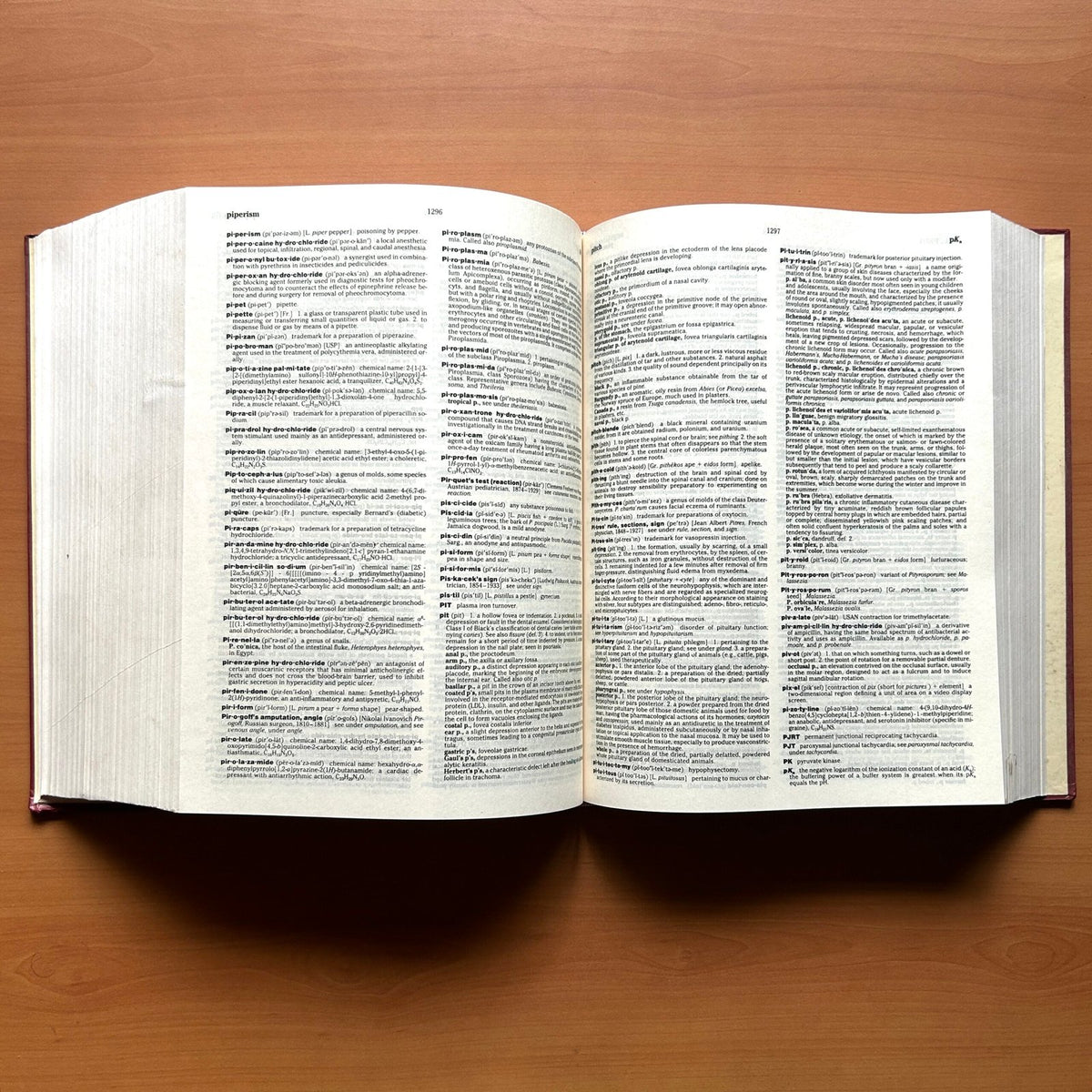 Dorland’s Illustrated Medical Dictionary image 8