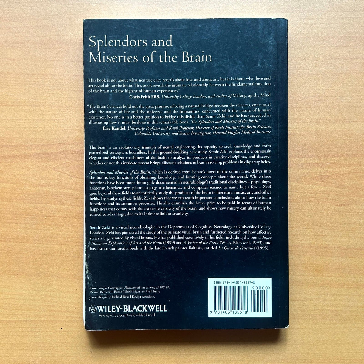 Splendors and Miseries of the Brain: Love, Creativity, and the Quest for Human Happiness - Semir Zeki image 8