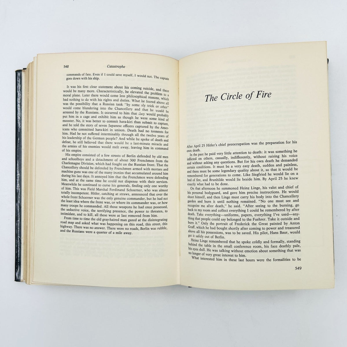 The Life and Death of Adolf Hitler image 12