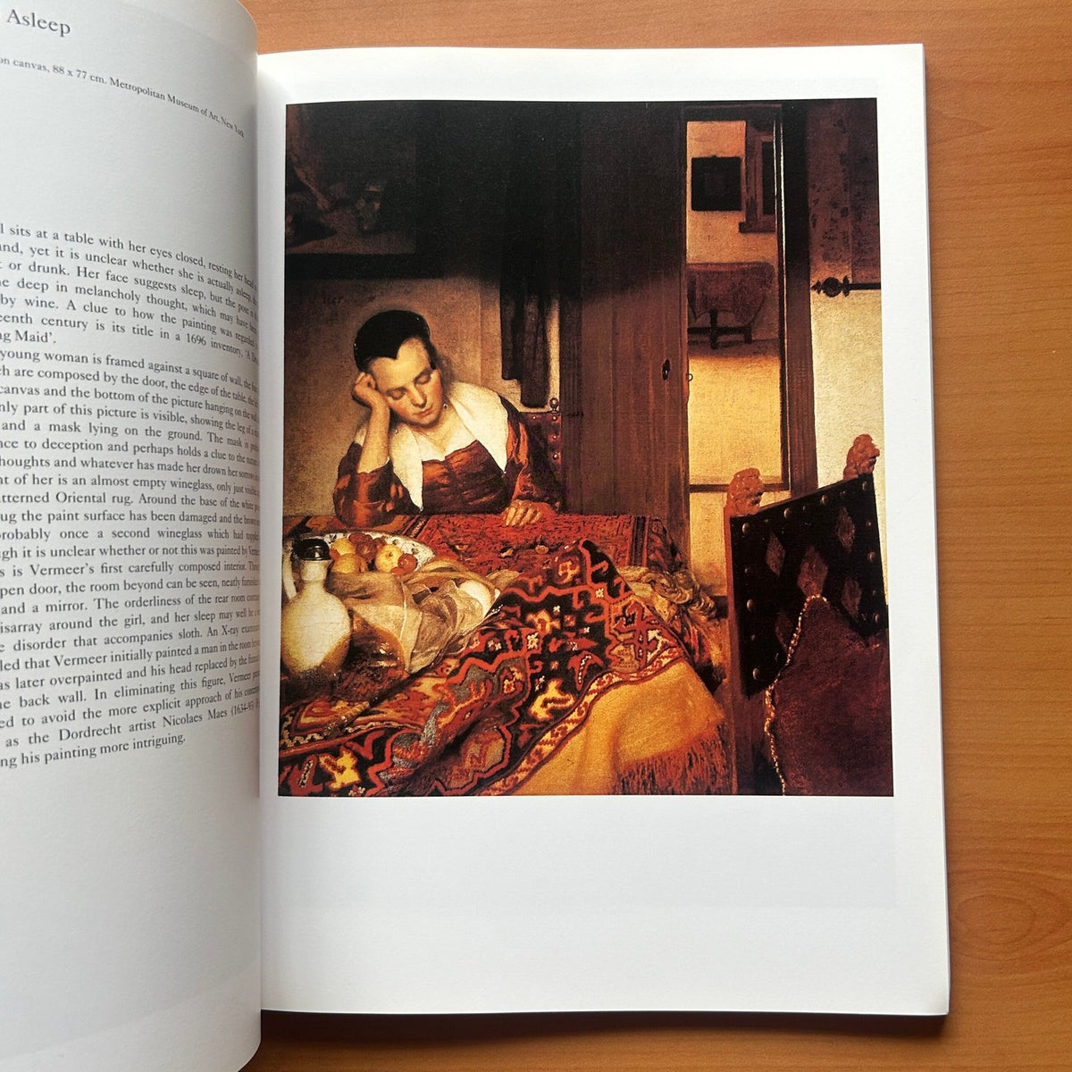 Vermeer - Martin Bailey image 14
