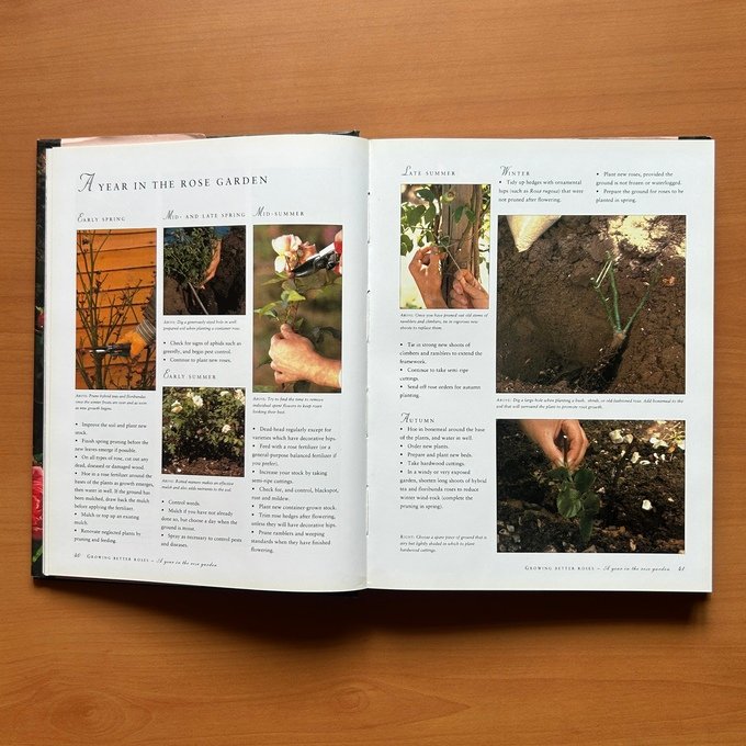 The Ultimate Rose Book  -  Peter McHoy image 4