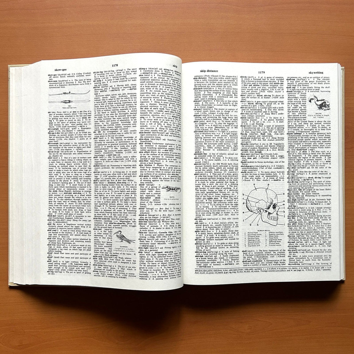 Webster Comprehensive Dictionary (2 Volumes Set) image 13