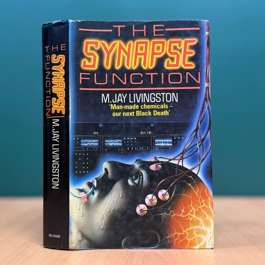 The Synapse Function  - M. Jay Livingston image 0