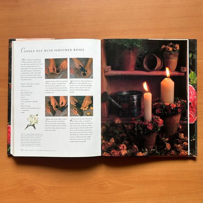 The Ultimate Rose Book  -  Peter McHoy image 10