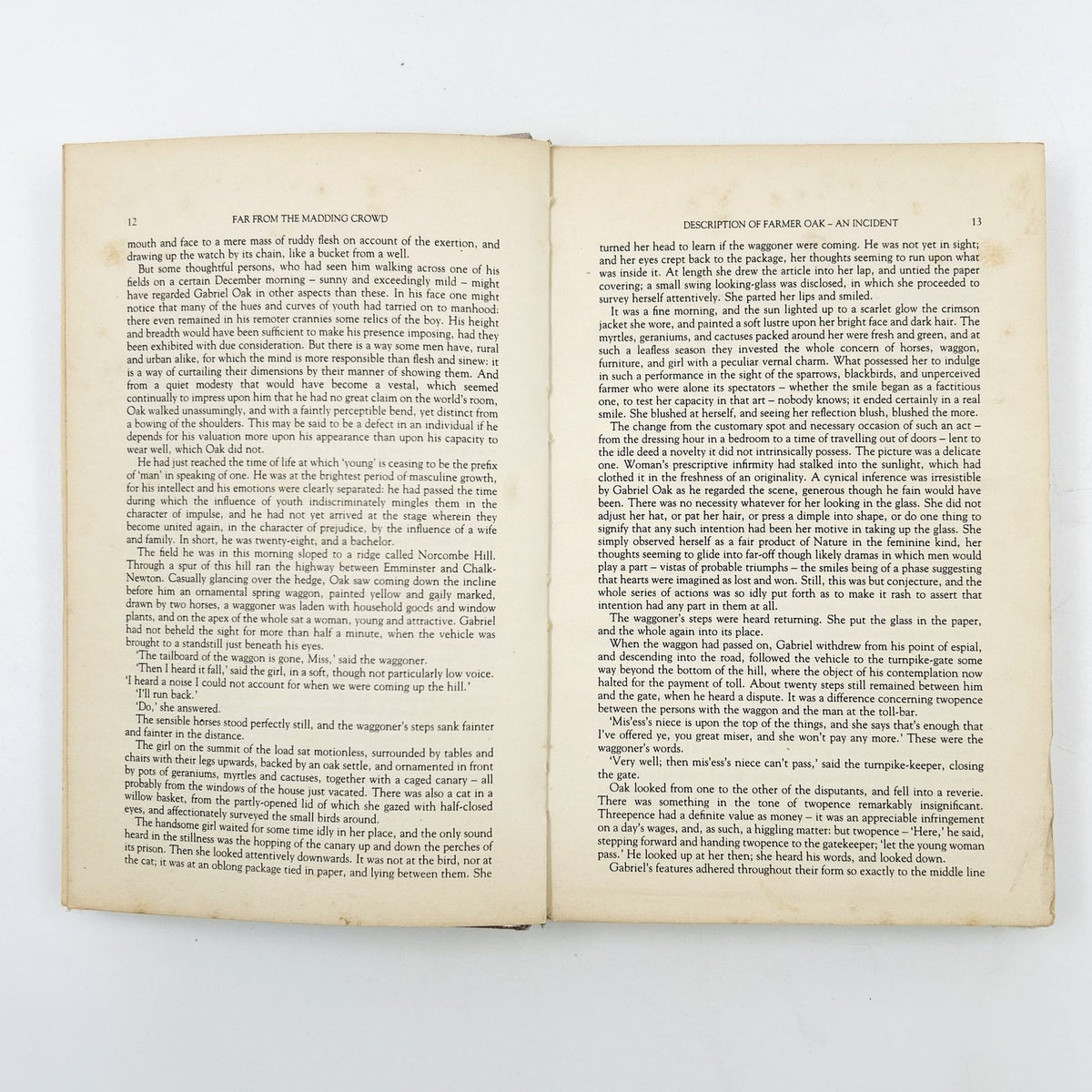 FAR FROM THE MADDING CROWD by Thomas Hardy image 6