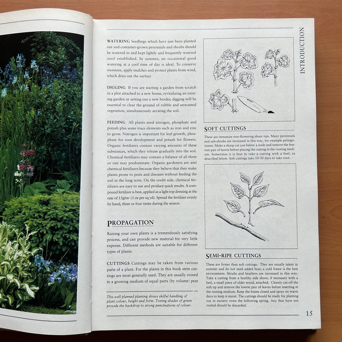 Hamlyn All Colour Plant Directory image 6