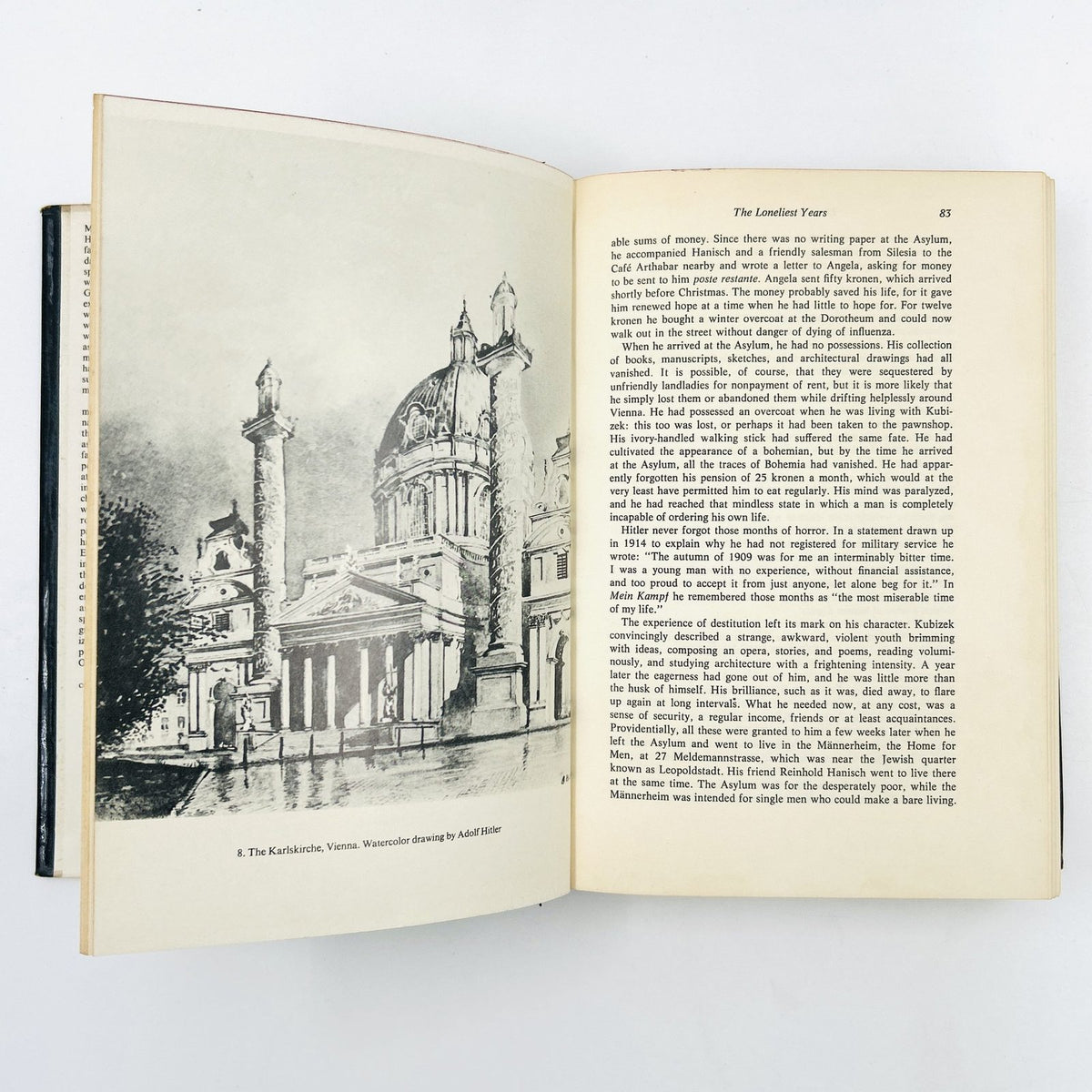 The Life and Death of Adolf Hitler image 8