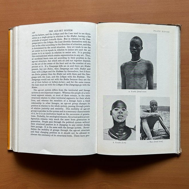 The Nuer: A Description of the Modes of Livelihood and Political Institutions of a Nilotic People  - E. E. Evans-Pritchard image 12