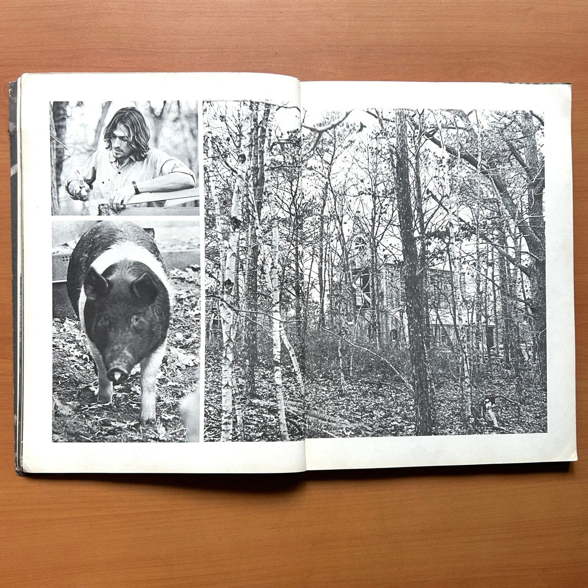 James Taylor  - Herbert Wise image 3