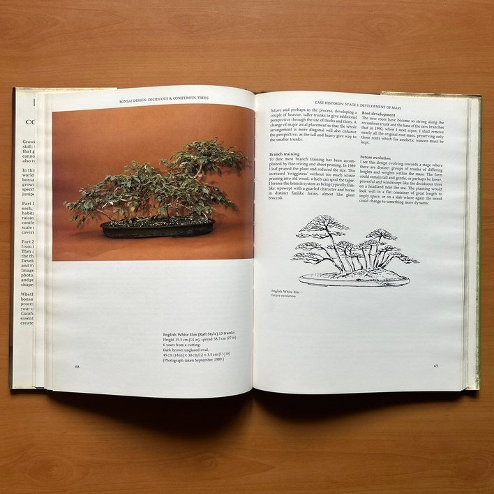 Bonsai Design: Deciduous and Coniferous Trees -  Peter D. Adams image 5