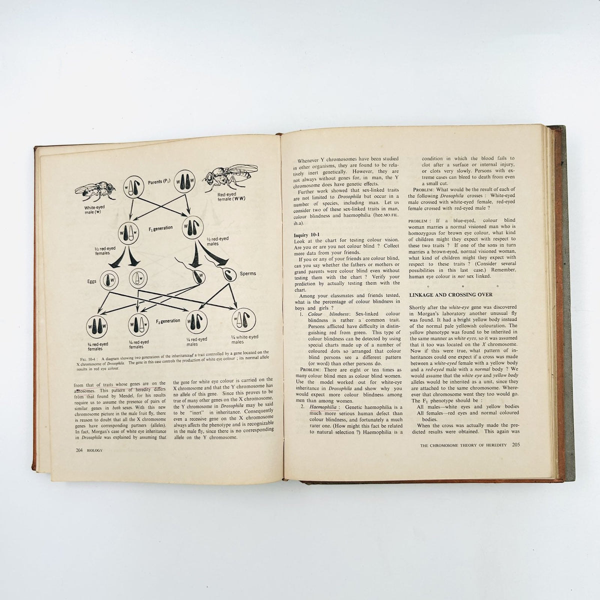 BIOLOGY: AN INQUIRY INTO LIFE (2 Volume Set) image 11