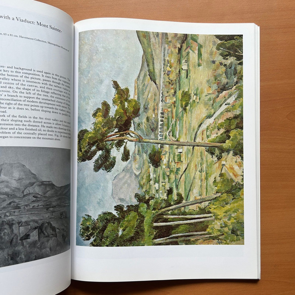 Cézanne  -  Catherine Dean image 8