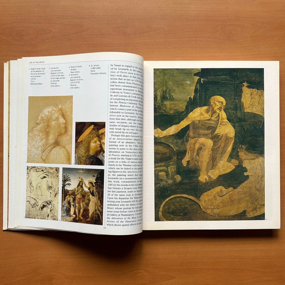 Leonardo da Vinci -  Carlo Pedretti image 7