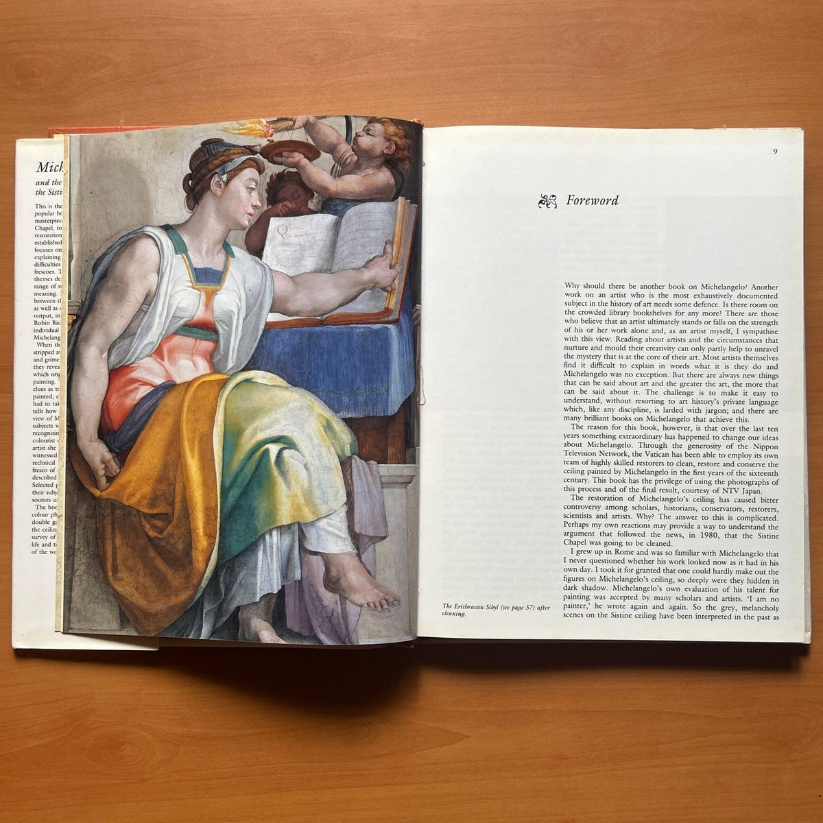 Michelangelo and the Creation of the Sistine Chapel  - Robin Richmond image 6
