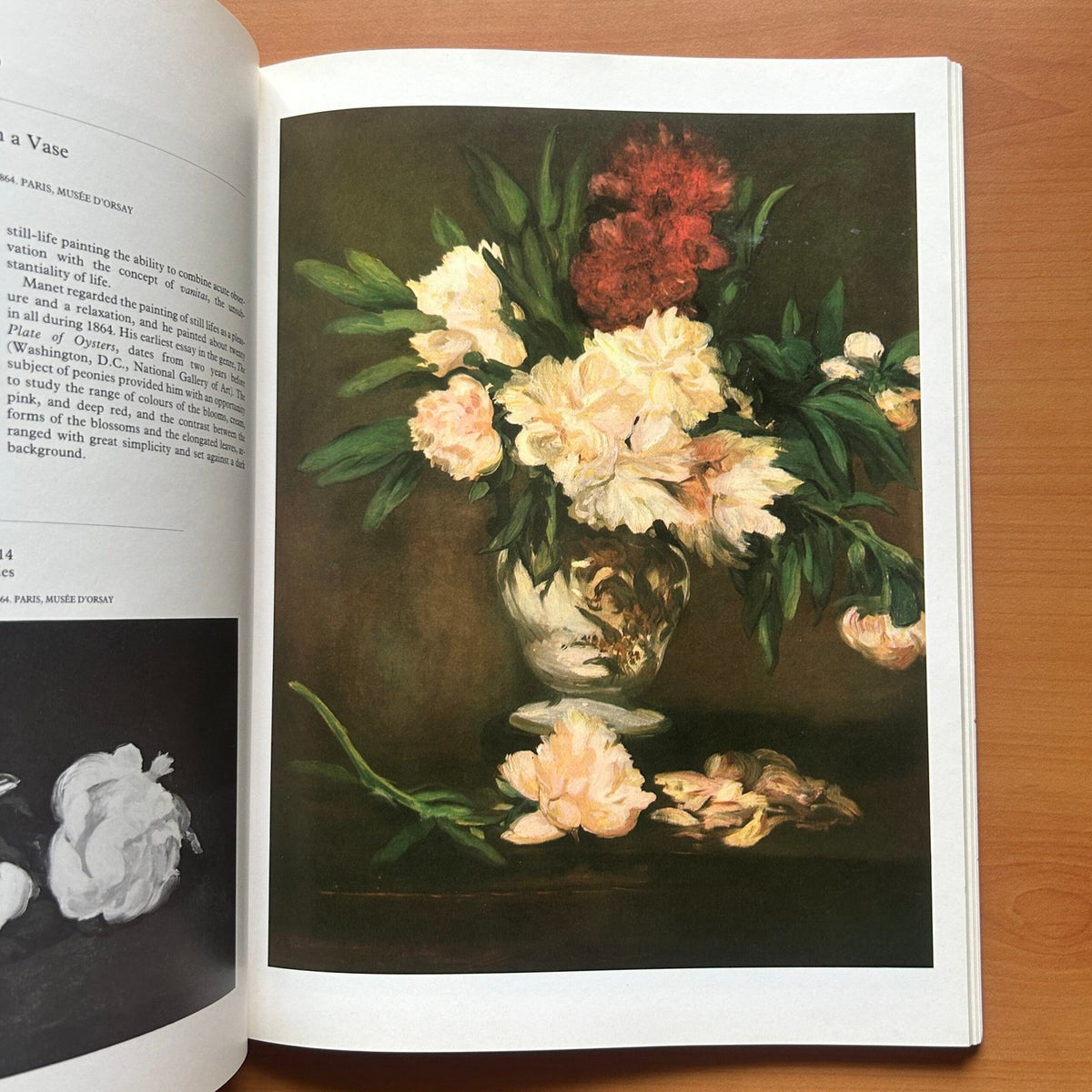 Manet  - John Richardson image 12
