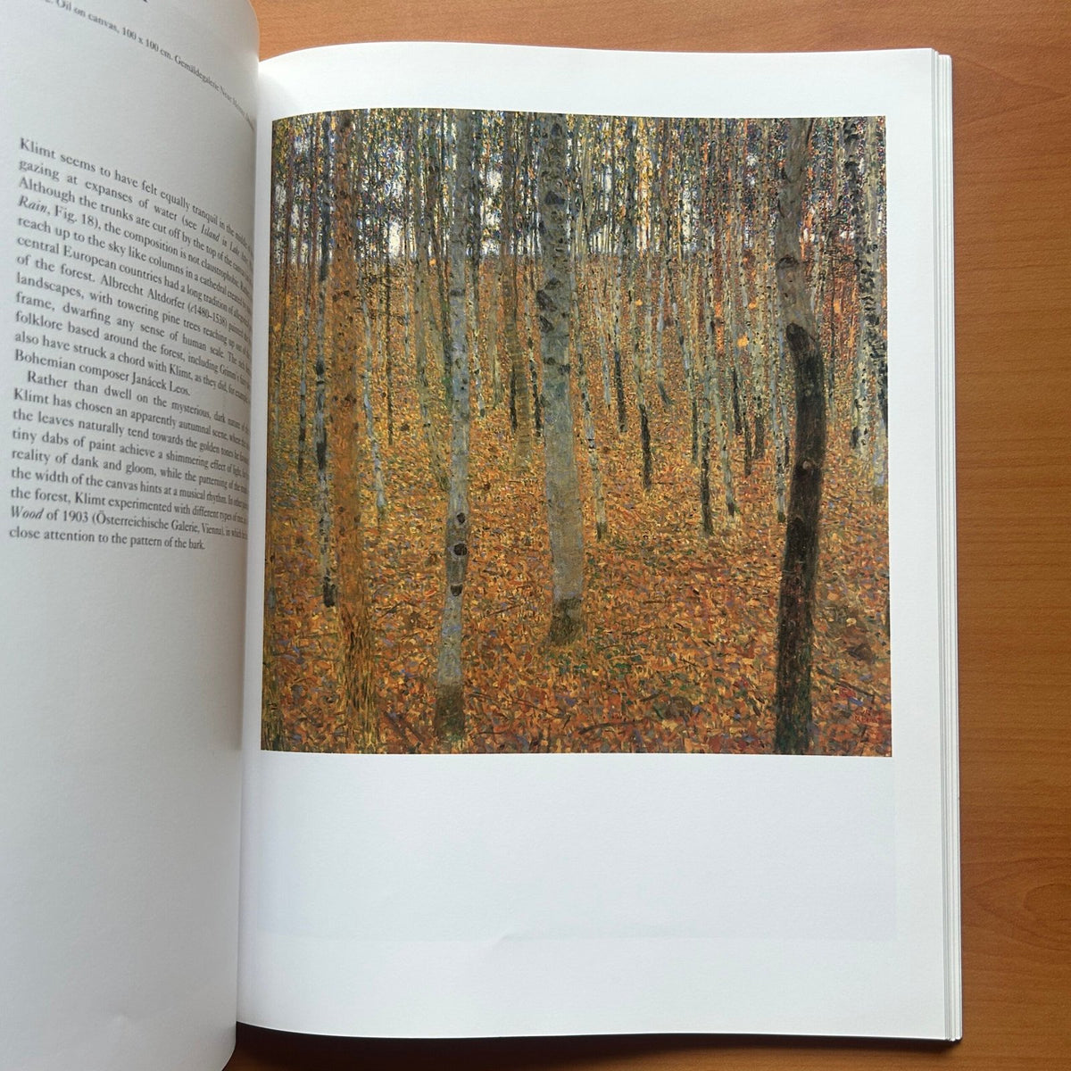 Klimt -  Catherine Dean image 12