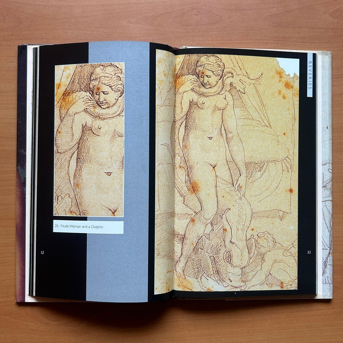 Ingres  -  Patrick Bade image 6