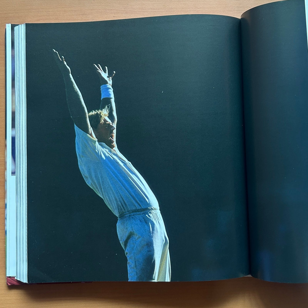 Cricket  - Ian Botham image 16