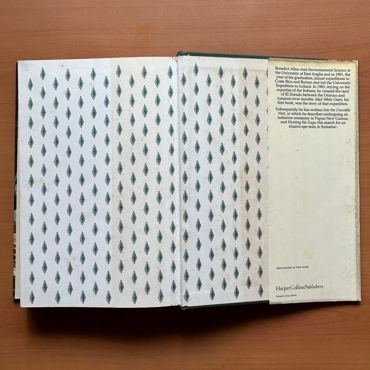 The Proving Grounds  -  Benedict Allen image 15