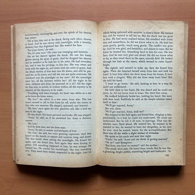 The Rainbow  - D. H. Lawrence image 5