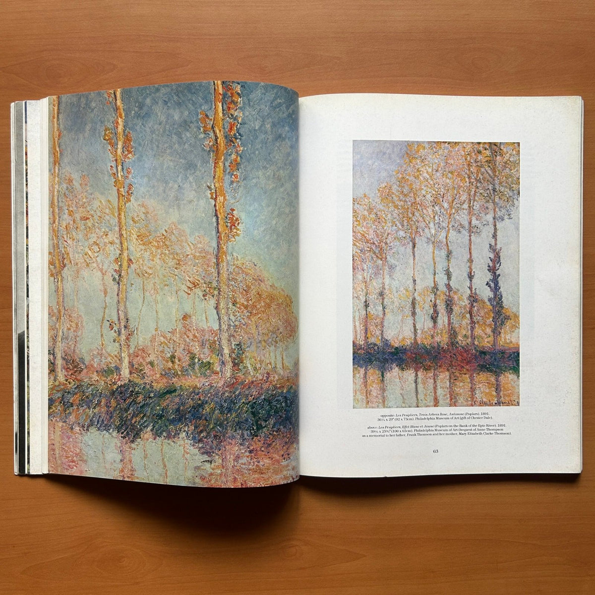 Claude Monet - Life at Giverny image 8