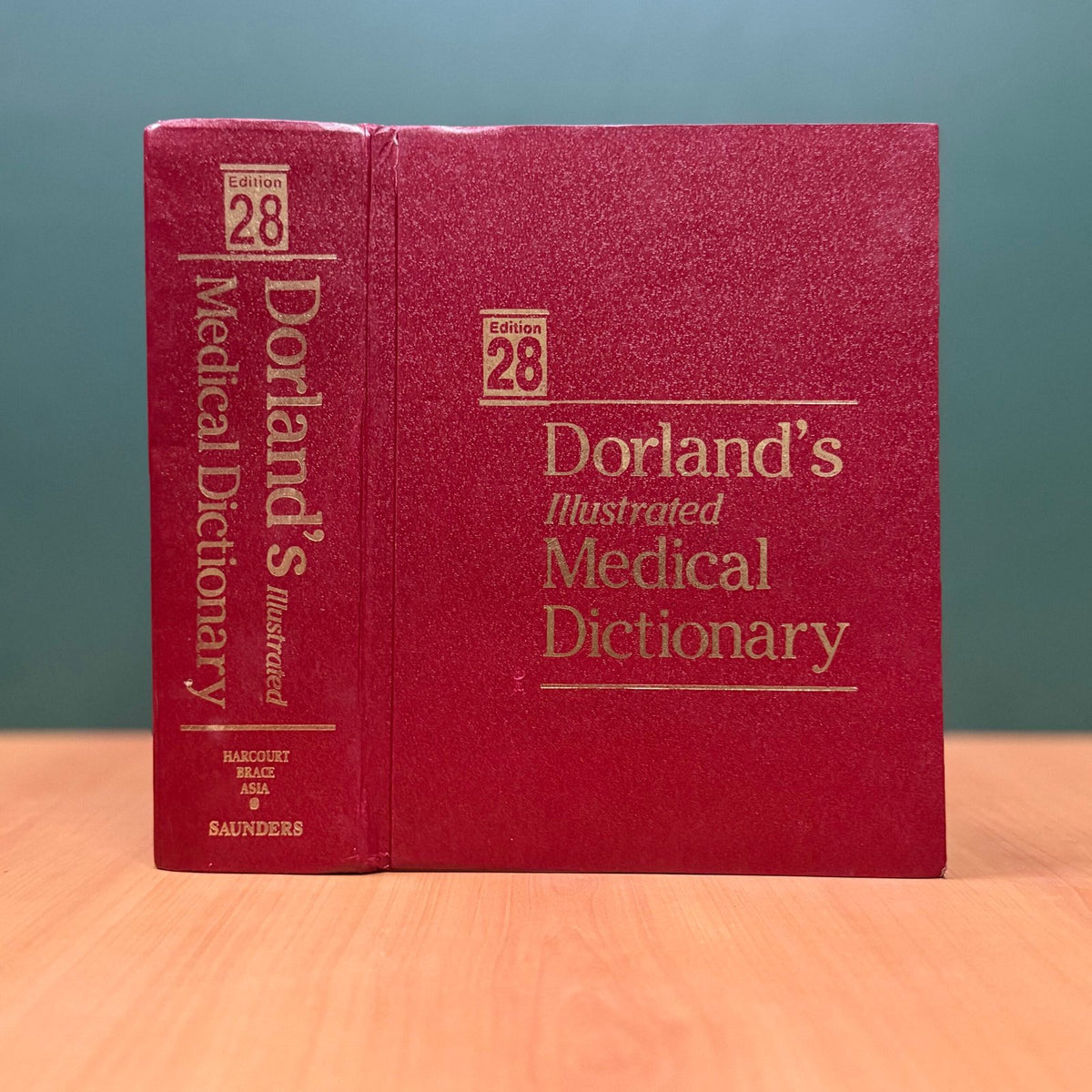 Dorland’s Illustrated Medical Dictionary image 0