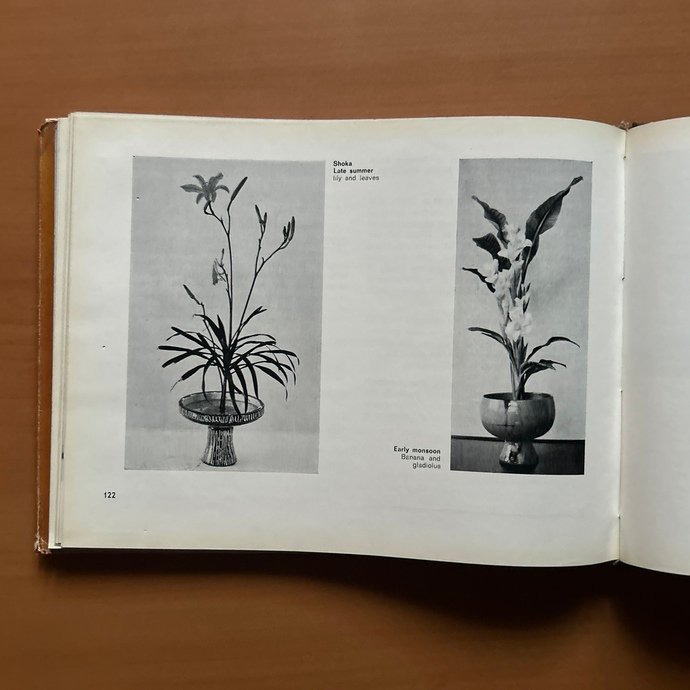 Ikebana in India  - Sharayu Thakoor image 12