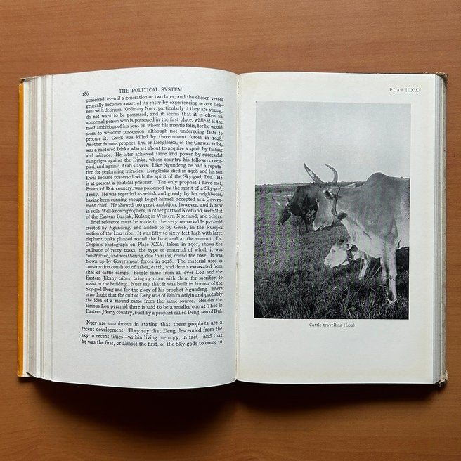 The Nuer: A Description of the Modes of Livelihood and Political Institutions of a Nilotic People  - E. E. Evans-Pritchard image 10