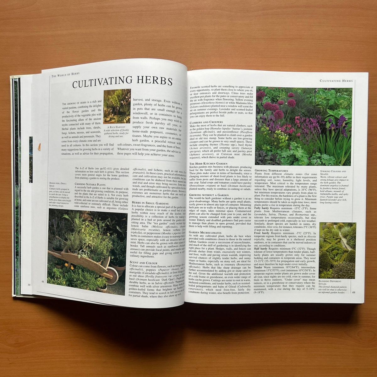 Encyclopedia of Herbs - Deni Bown image 6