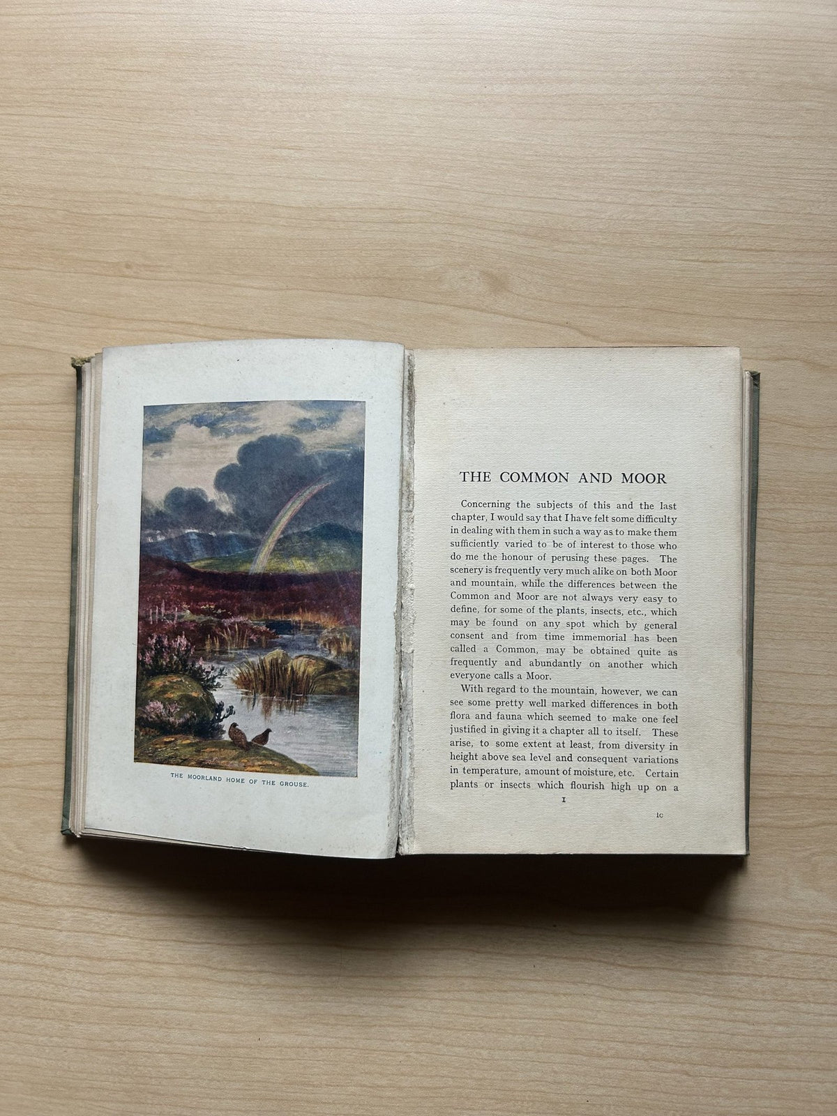 BY MOUNTAIN MOORLAND RIVER AND SHORE by T.CARRERAS image 6