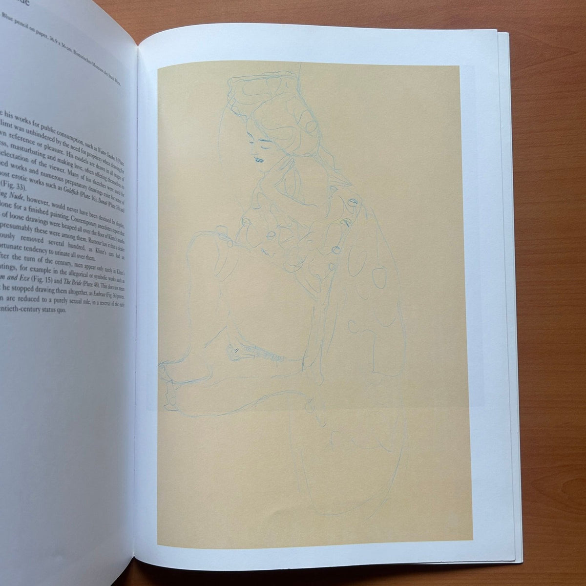 Klimt -  Catherine Dean image 7