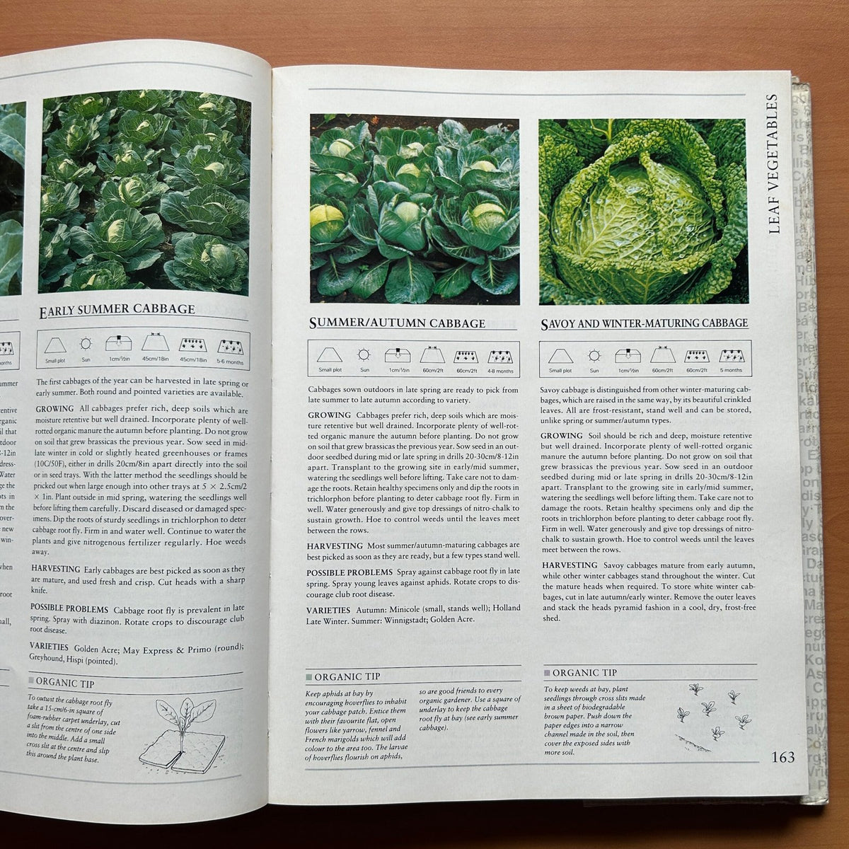 Hamlyn All Colour Plant Directory image 12