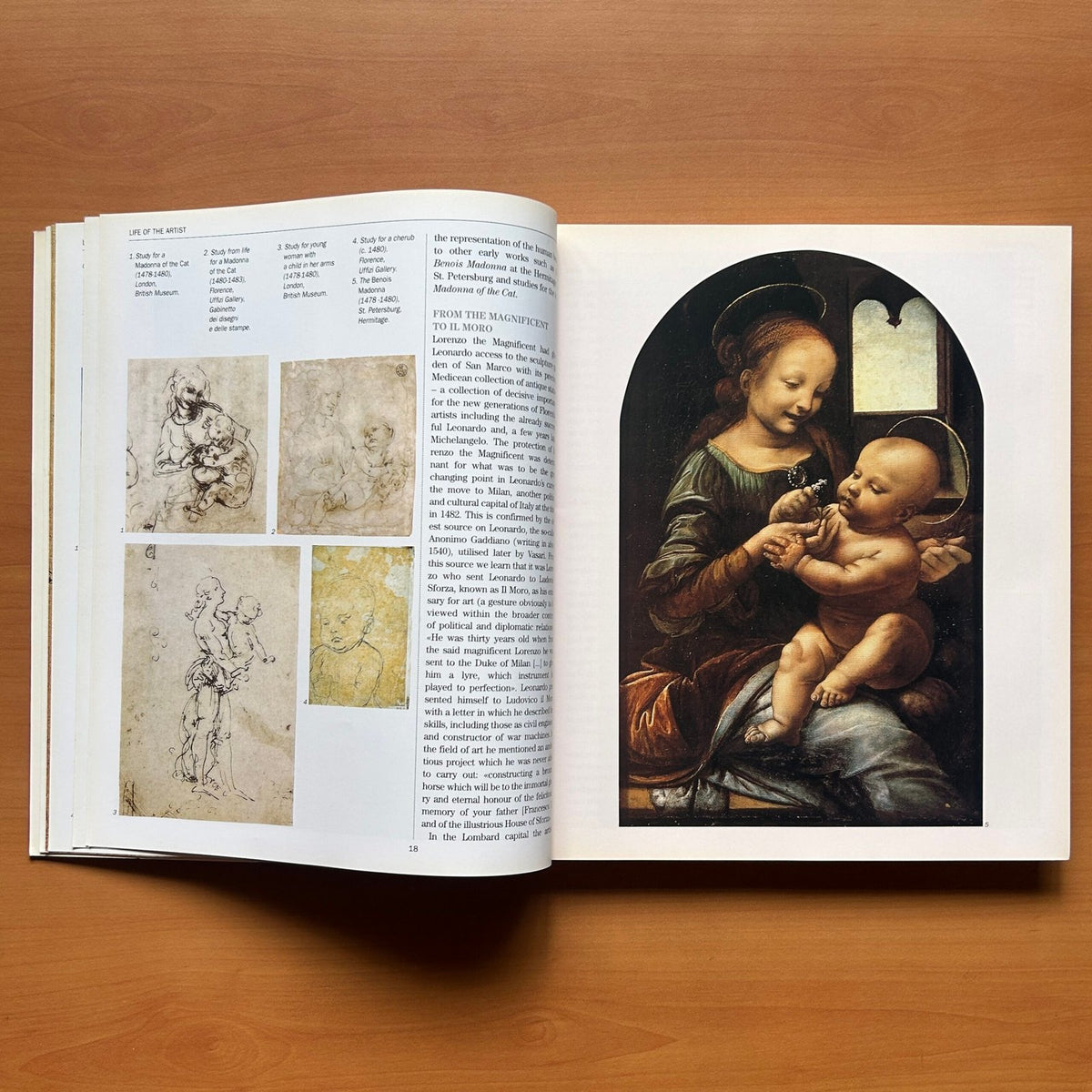 Leonardo da Vinci -  Carlo Pedretti image 8