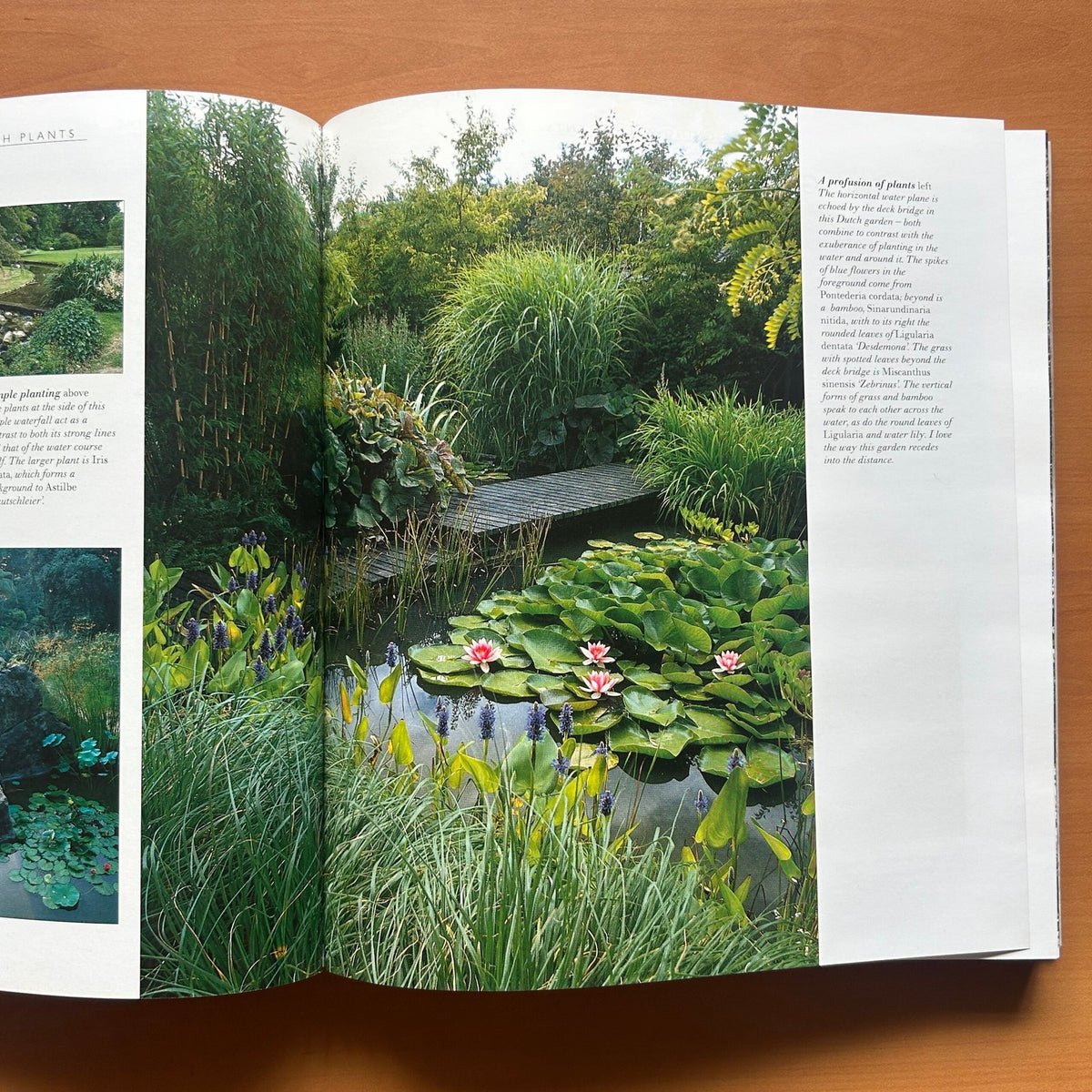 Garden Design - John Brookes image 13
