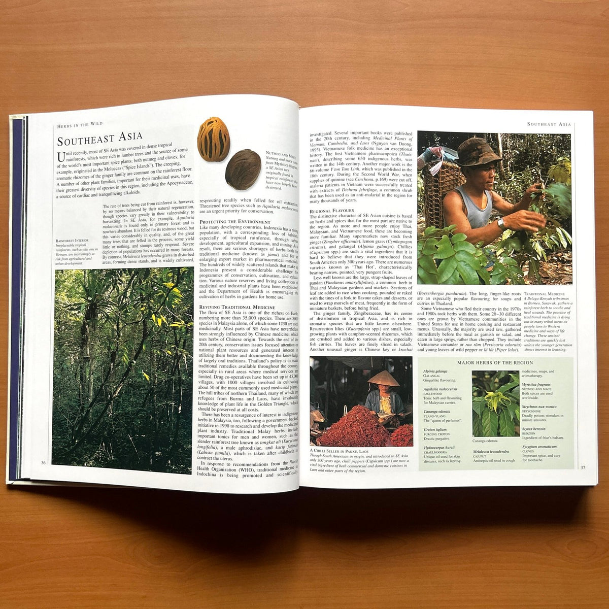 Encyclopedia of Herbs - Deni Bown image 13