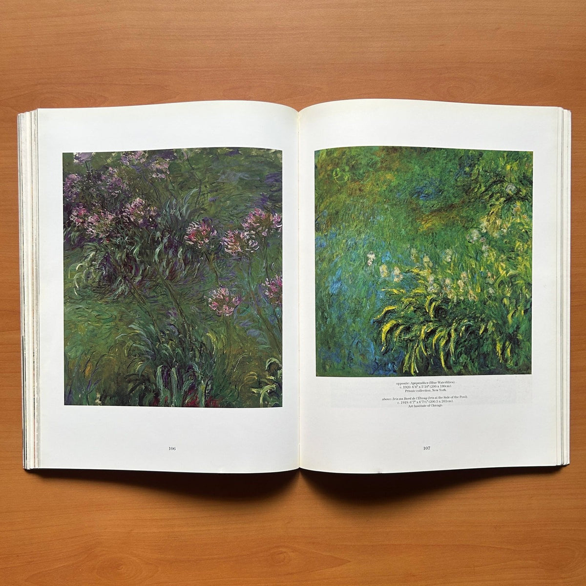 Claude Monet - Life at Giverny image 10