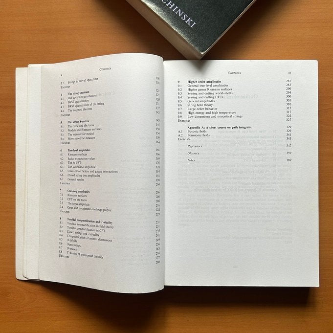 String Theory – Two Volume Set  - Joseph Polchinski image 11