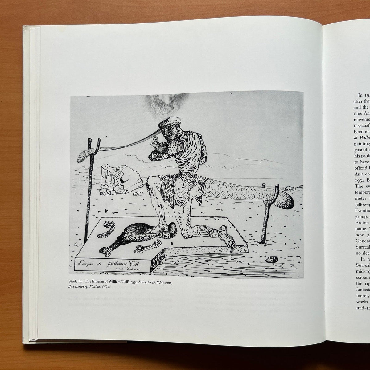Dalí – The Masterworks  -  Eric Shanes image 14