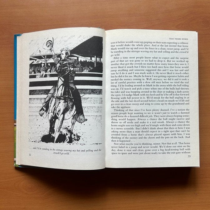 Horse &amp; Pony Stories  -  Jane Carruth image 6