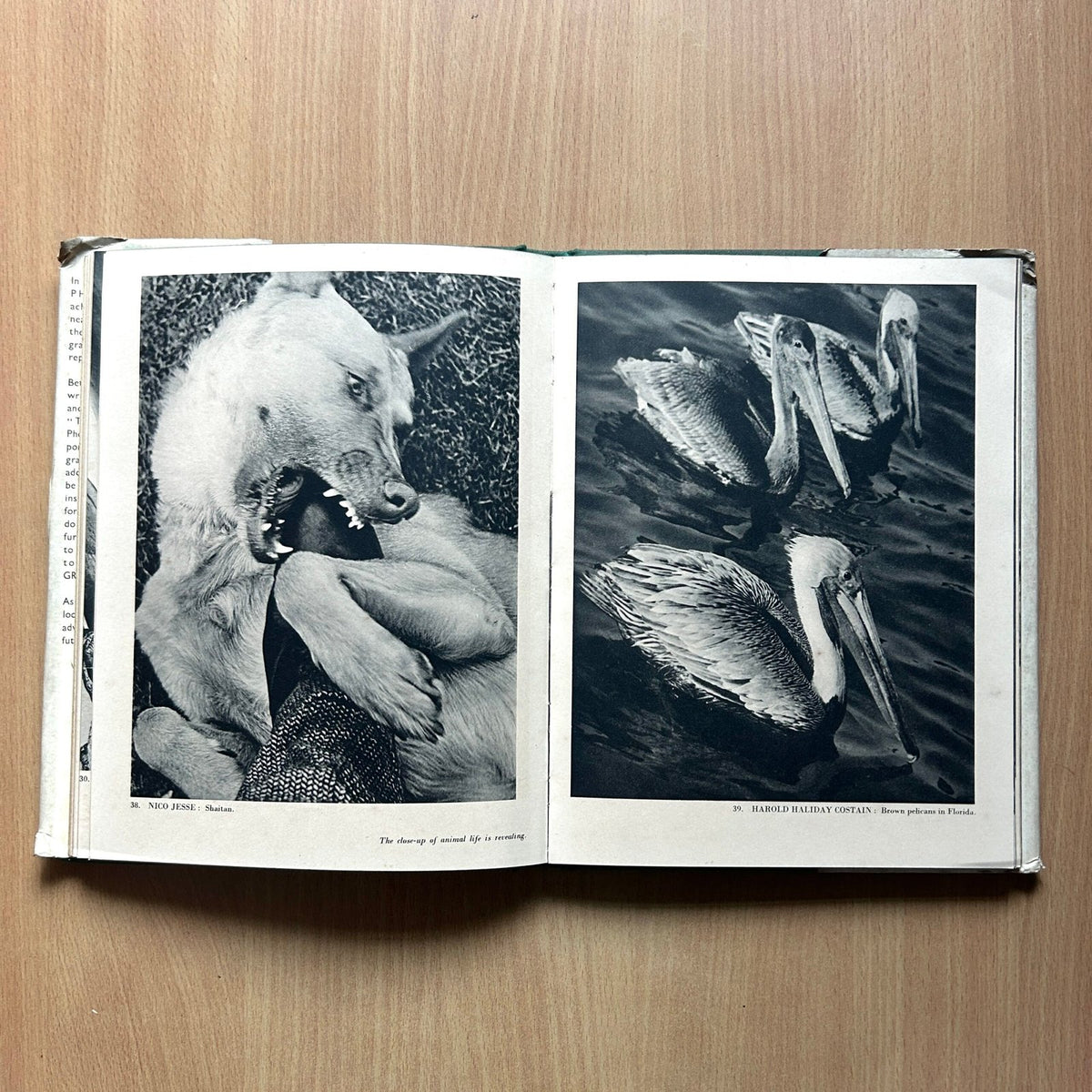 Modern Photography  - C. G. Holme image 8