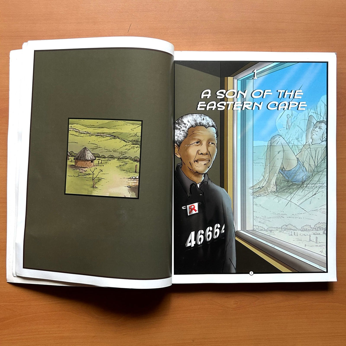 Mandela: The Graphic Novel - Nelson Mandela Centre of Memory · Umlando Wezithombe image 3