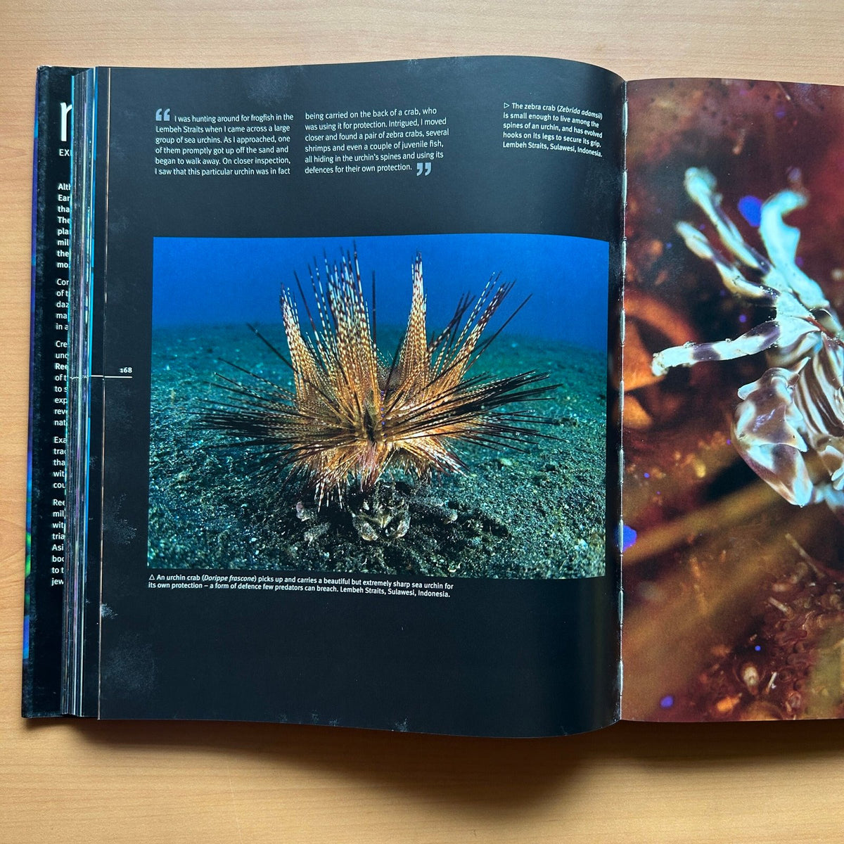 Reef: Exploring the Underwater World image 11