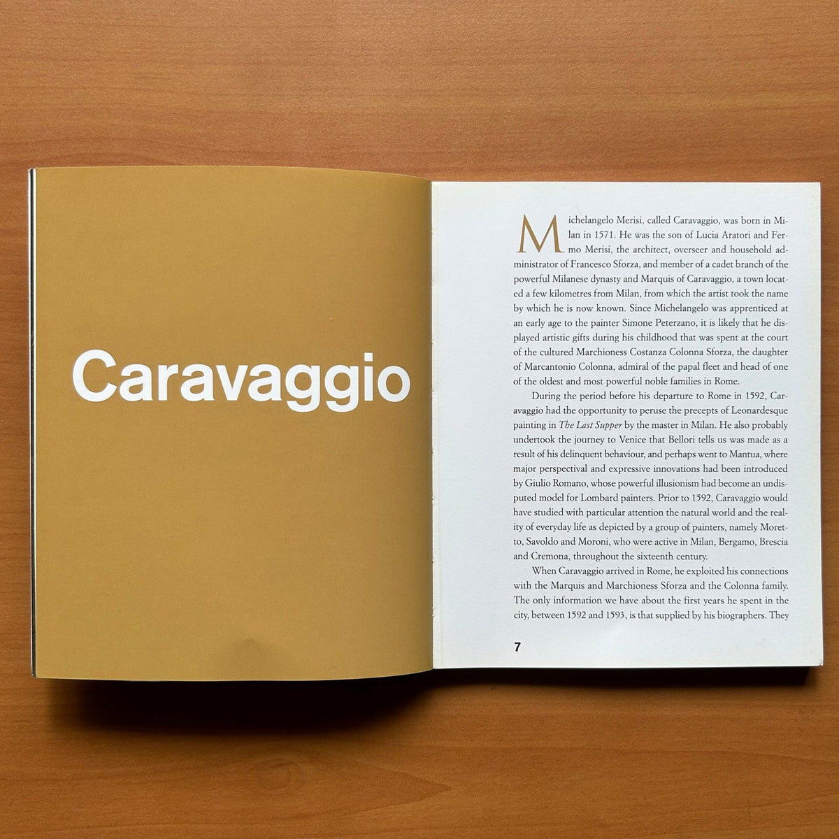 Caravaggio  -  Francesca Marini image 3
