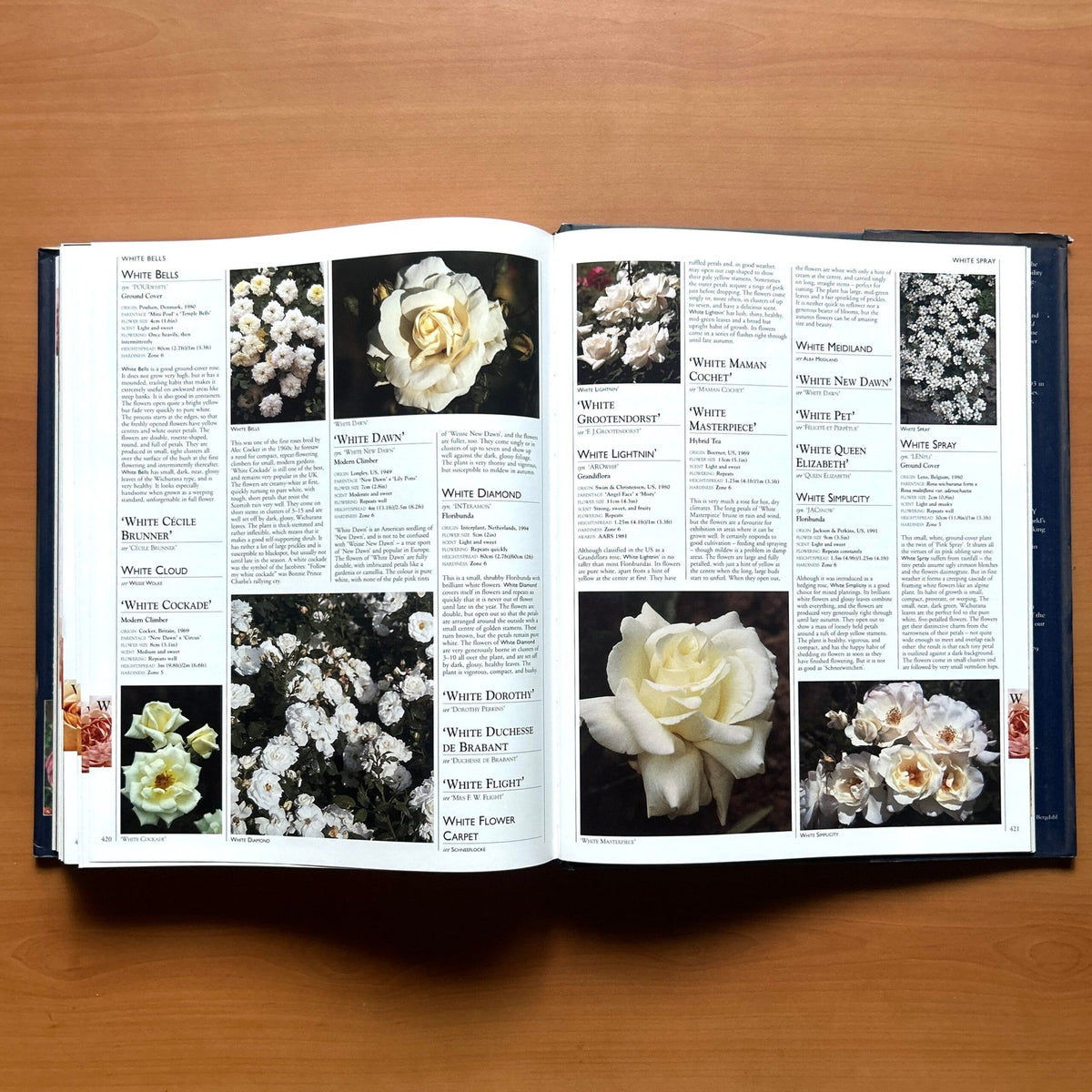 Encyclopedia of Roses  - Charles Quest-Ritson · Brigid Quest-Ritson image 16