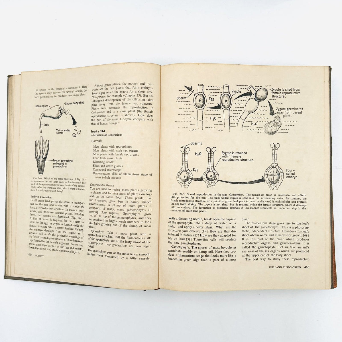 BIOLOGY: AN INQUIRY INTO LIFE (2 Volume Set) image 19