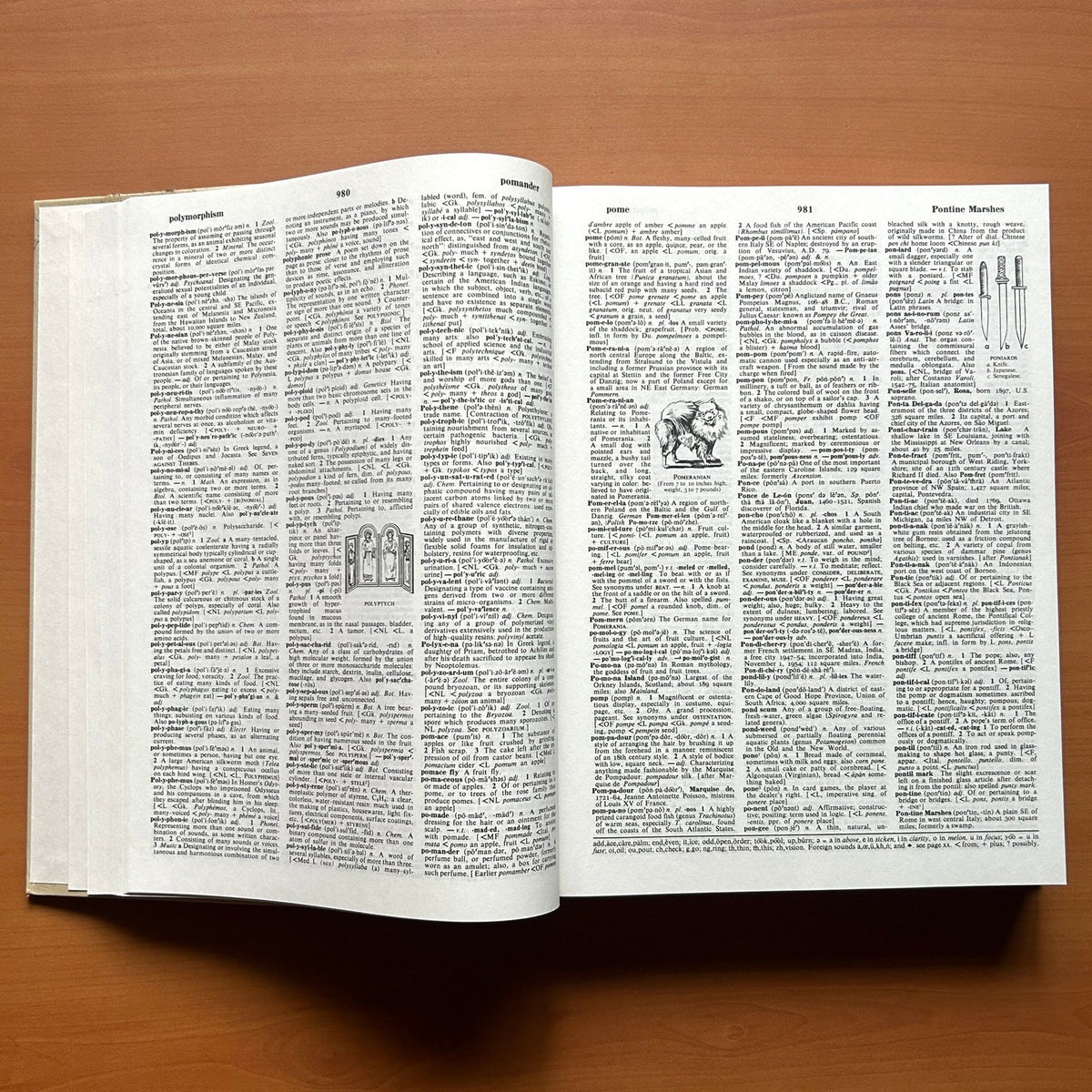 Webster Comprehensive Dictionary (2 Volumes Set) image 12
