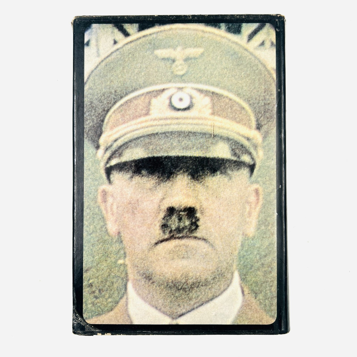 The Life and Death of Adolf Hitler image 3