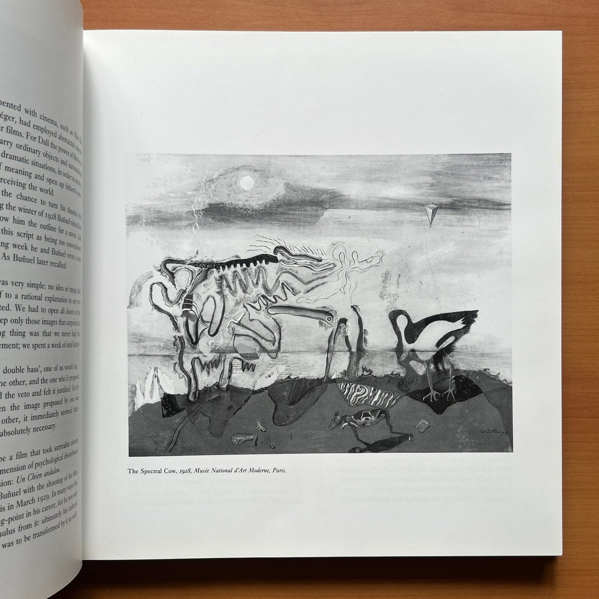Dalí – The Masterworks  -  Eric Shanes image 4